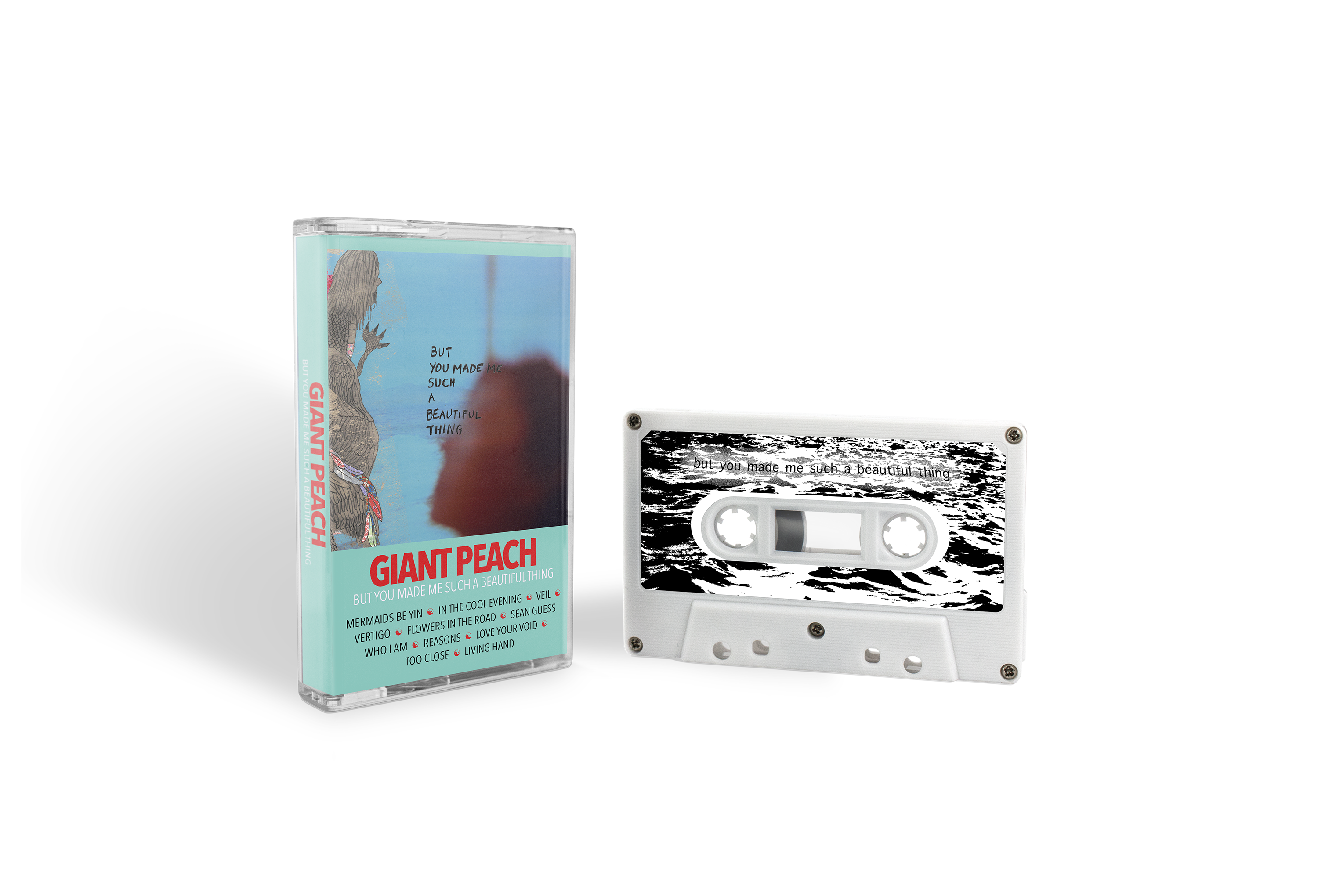 レコード/ドノヴァン/AGiftFromAFlowerToAGarden Cassettes – Don Giovanni Records