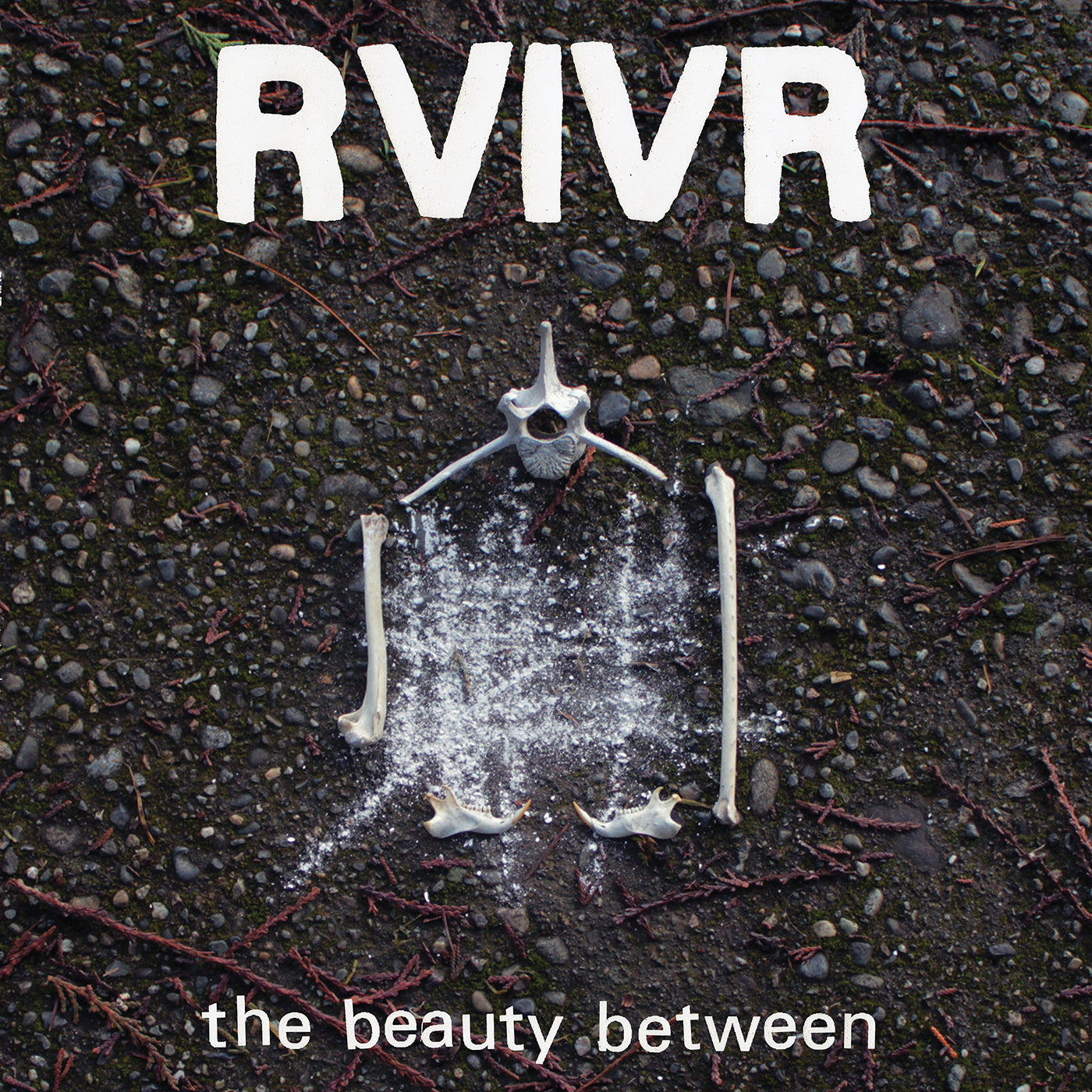 RVIVR 